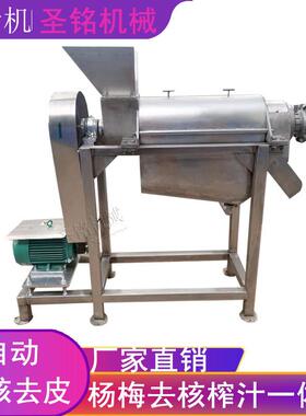 大型梨汁破碎榨汁机商用诺丽果螺旋榨汁机不锈钢西梅去核榨汁机