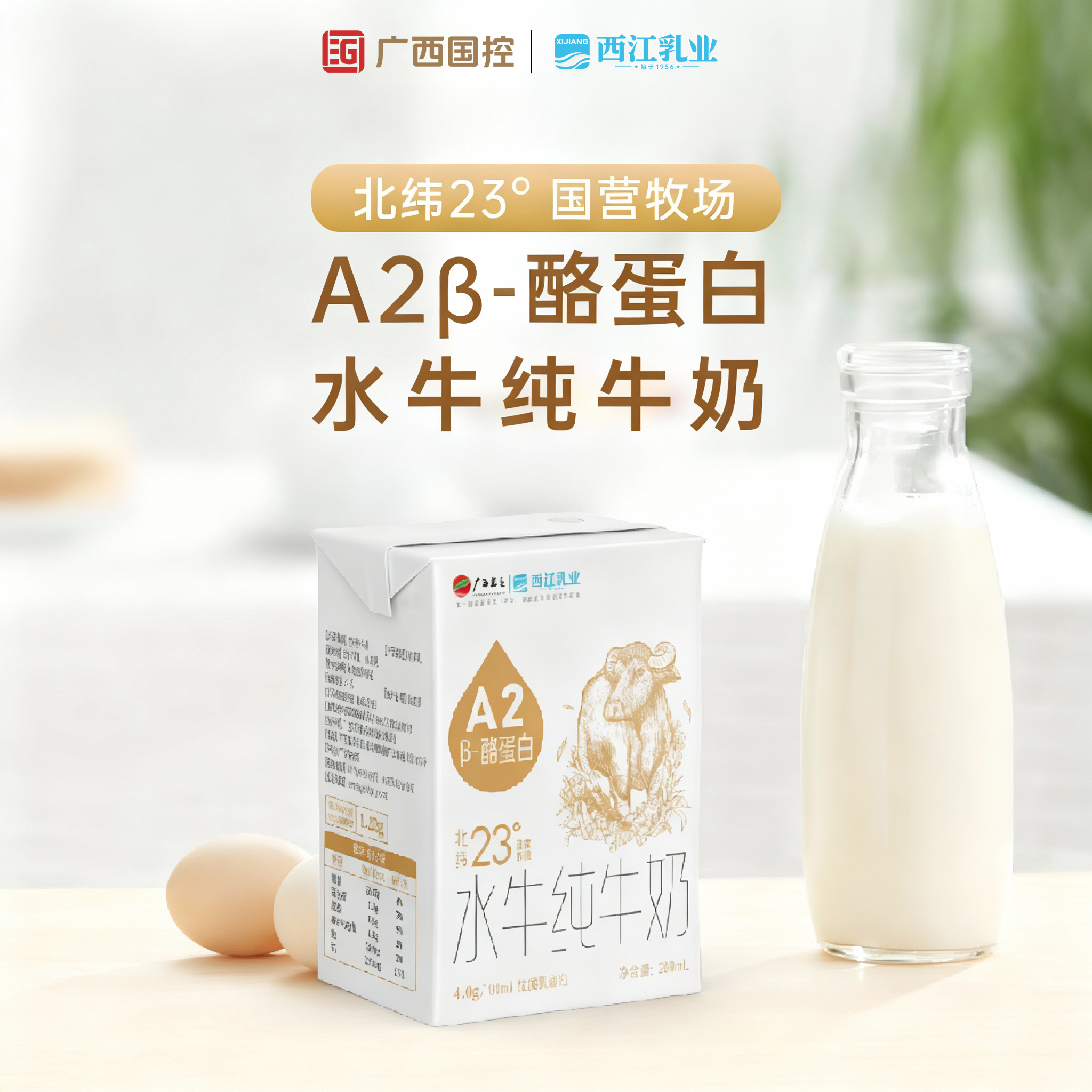 西江乳业A2β-酪蛋白4.0乳蛋白水牛纯牛奶儿童营养早餐奶10盒/箱,咖啡/麦片/冲饮,水牛奶,淘宝优惠券,粉丝福利购,淘宝优惠卷