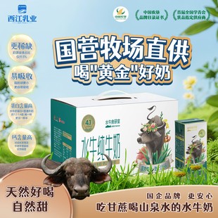 西江乳业广西水牛奶纯牛奶4.1g/100ml蛋白质儿童学生营养早餐奶