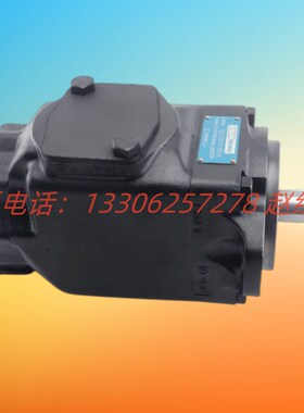 T6CCW 022 008/006/005/003 1R00/2R00 C100丹尼逊DENISON叶片泵