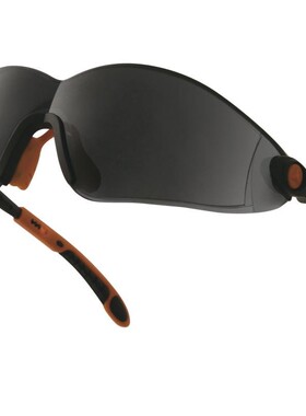 代尔塔 101116 护目眼镜 防护眼镜 防雾劳保眼镜 防冲击透明镜片