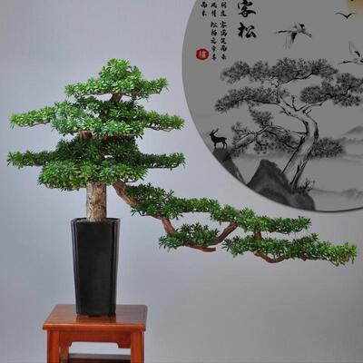 新中式家M00041居盆松景摆关件意木艺迎客松美人盆创景酒店会客厅