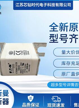 170M1367170M1368170M1369巴斯曼熔断器BUSSMANN保险丝