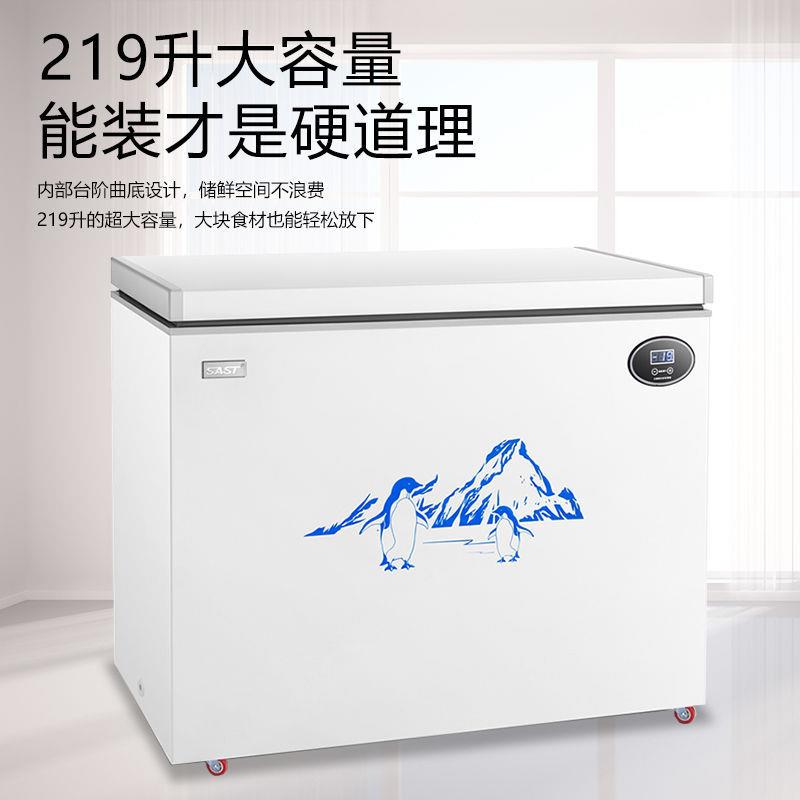 SAST冷柜小型冷冻冷藏两用迷你小冰柜大容量单温冷柜车载冰箱