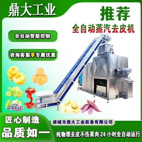 全自动脱皮设备304不锈钢时产1吨番茄去皮 提供工艺培训 适配土豆