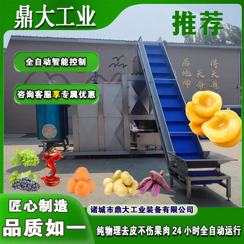定制土豆脱皮机 不锈钢多功能发豆芽自动削皮机厂家直销