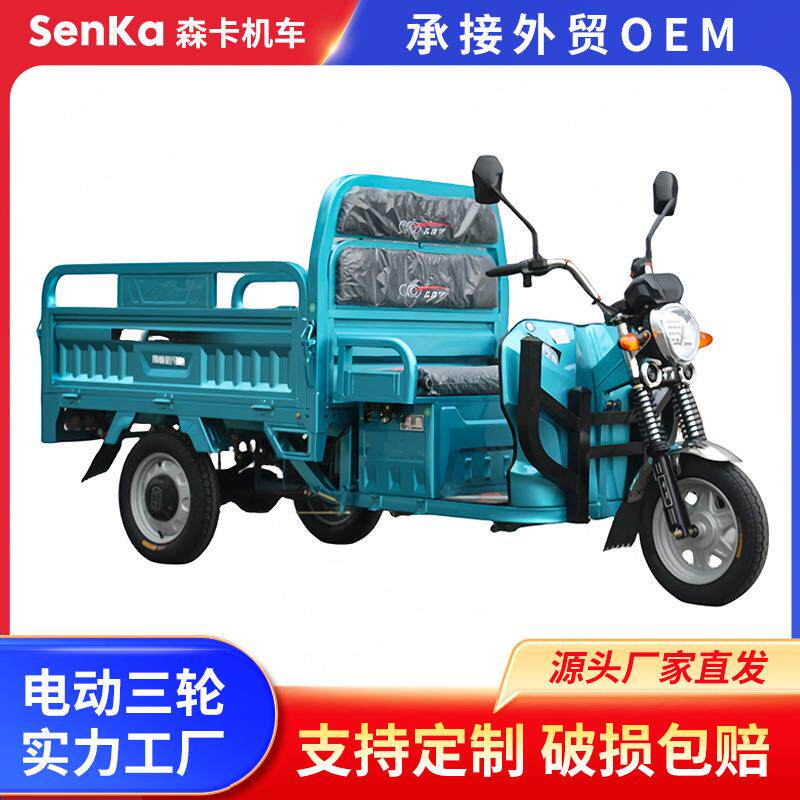 家用电动三轮拉货车快递工程农用拉货农场载重三轮出口三蹦子