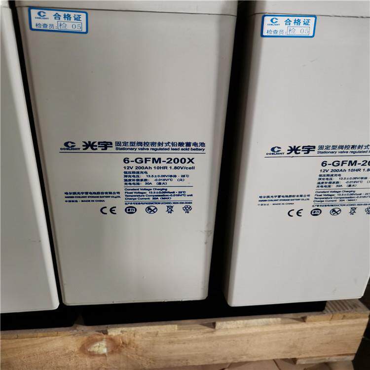 光宇蓄电池6-GFM-100X12V100AH免维护不间断电源