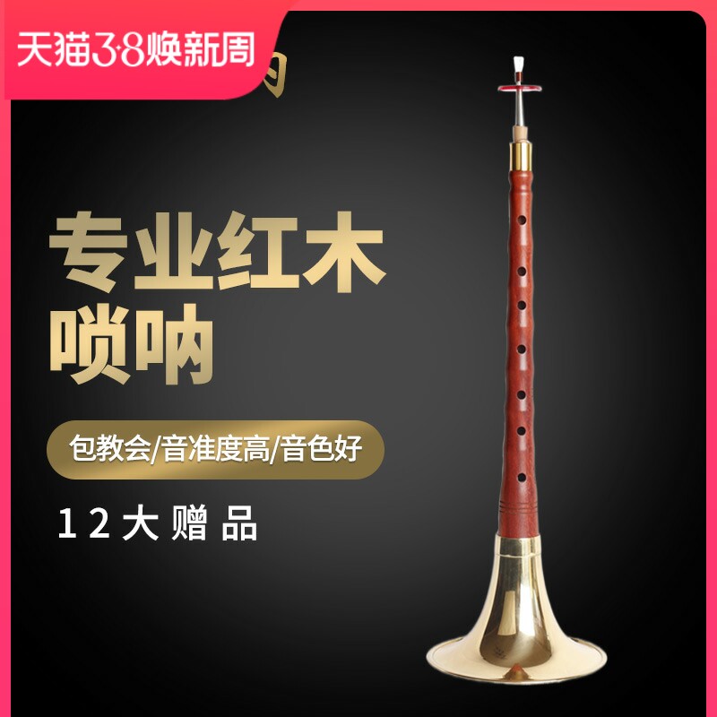 专业红木唢呐乐器全套d调演奏初学者入门小号喇叭唢呐配件锁啦