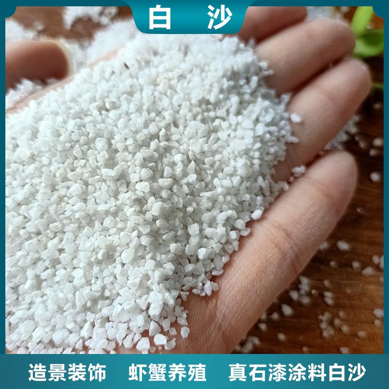 白云石粉草坪沙园林造景白沙子宠物浴沙颗粒虾蟹养殖用白云石粉