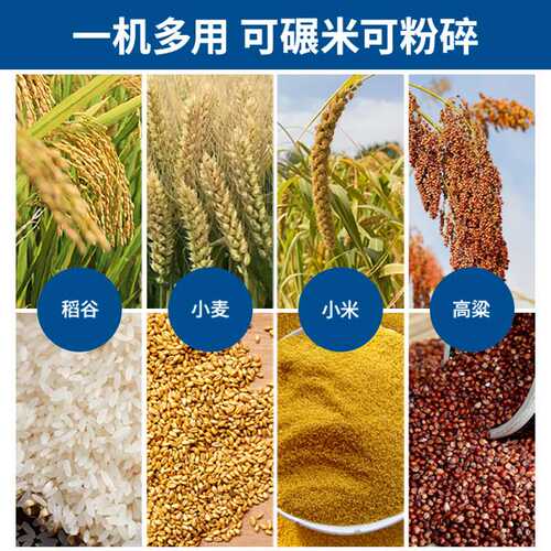 打米机家用小型大米去虫处理稻谷脱壳剥谷机粉碎机碾米机振动筛