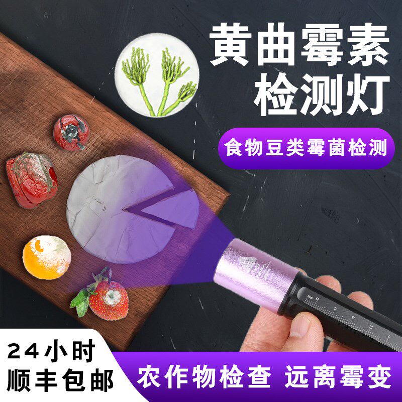 伍德氏灯食物豆类霉菌黄曲霉素检测强光大面积紫外线检验充电手电
