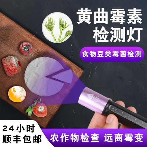伍德氏灯食物豆类霉菌黄曲霉素检测强光大面积紫外线检验充电手电