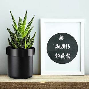 仿真花盆存钱罐金属储蓄罐藏私房钱藏钥匙创意带锁铁盒收纳保管箱