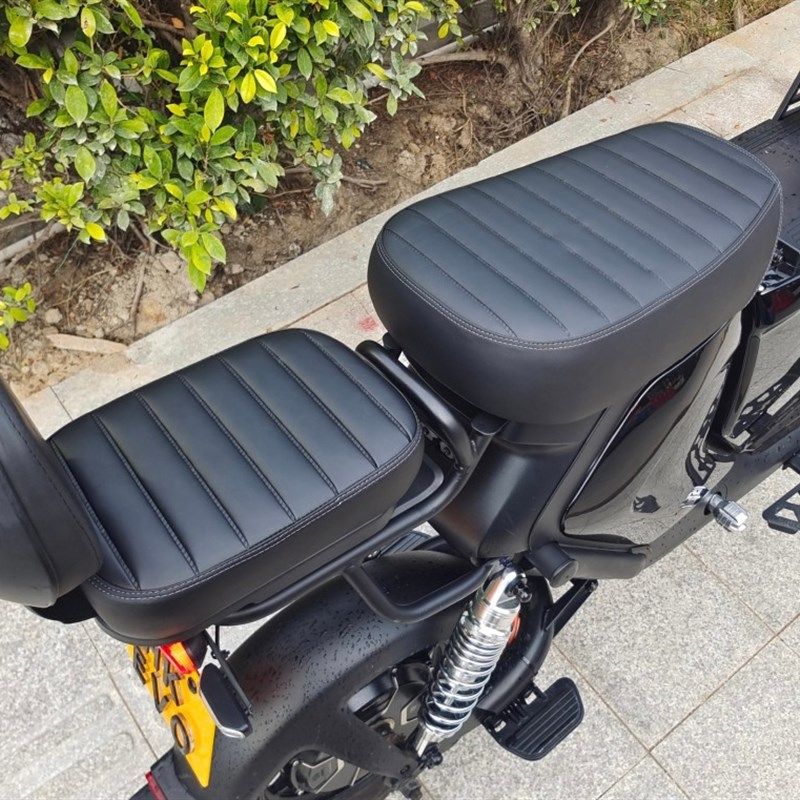 009深远电动车后坐垫毛毛虫靠背DE3四季星后座垫舒适扶手加宽加厚,电动车/配件/交通工具,更多电动车零/配件,淘宝优惠券,粉丝福利购,淘宝优惠卷