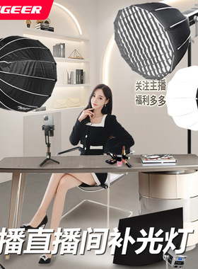 补光灯300Wcob柔光摄影灯双色温人像美颜影棚深抛灯无极调光
