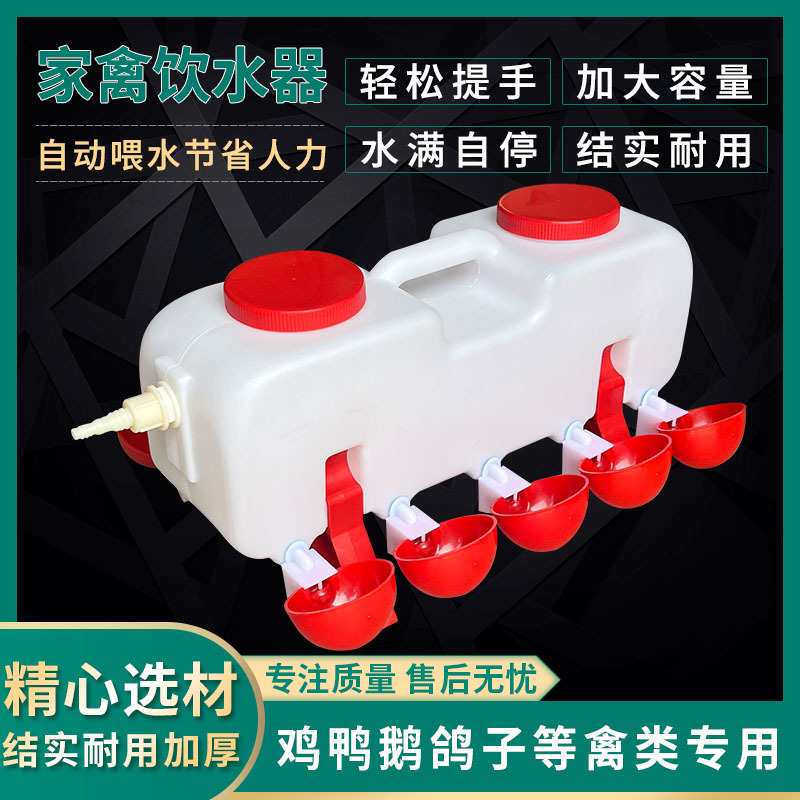养殖鸡用自动饮水器散养家禽喂水壶鸡水桶鸭子喂水槽鹅用自动水碗