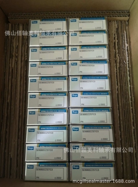 KOYO陶瓷轴承·EXSEV轴承 SE6006ZZSTPRC3YS 特殊环境用轴承系列