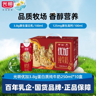 【12月】光明优加纯牛奶3.8g乳蛋白梦幻盖250ml*10盒营养早餐奶