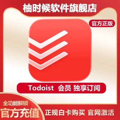 TodoistPro1年会员代充通用