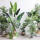 芭树假花花旅蕉服人蕉装 绿植大型装 ARX店饰品假假花盆栽摆设