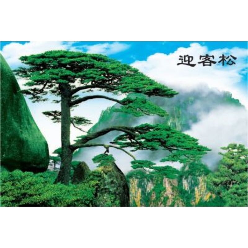迎客松黄山风景装饰画山水客厅墙画风水年画瀑布流水财源广进贴画