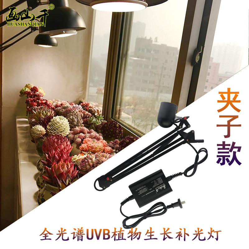 全光谱UVB多肉灯爬虫补钙紫外太阳灯植物生长灯花卉绿植生长补光