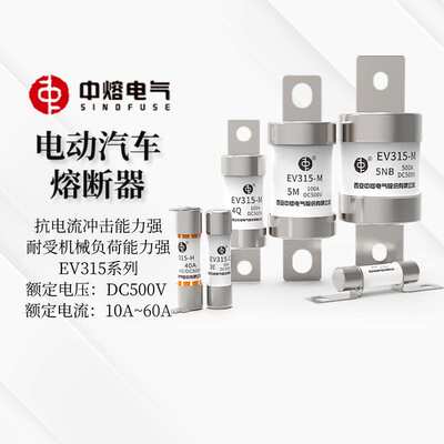 西安中熔熔断器RS309-MD-EV20/30/40/80/150A直流500VDC保险管