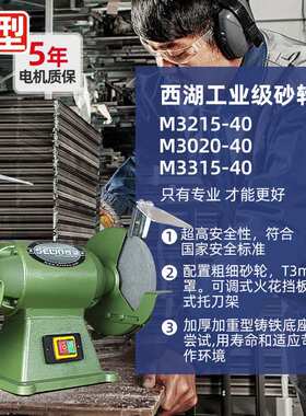 杭州SEWO临安西湖砂轮机台式220V单相电6寸MD3215