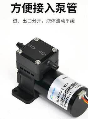 KLLP300小体积高扬程12V24V直流无刷电机隔膜泵