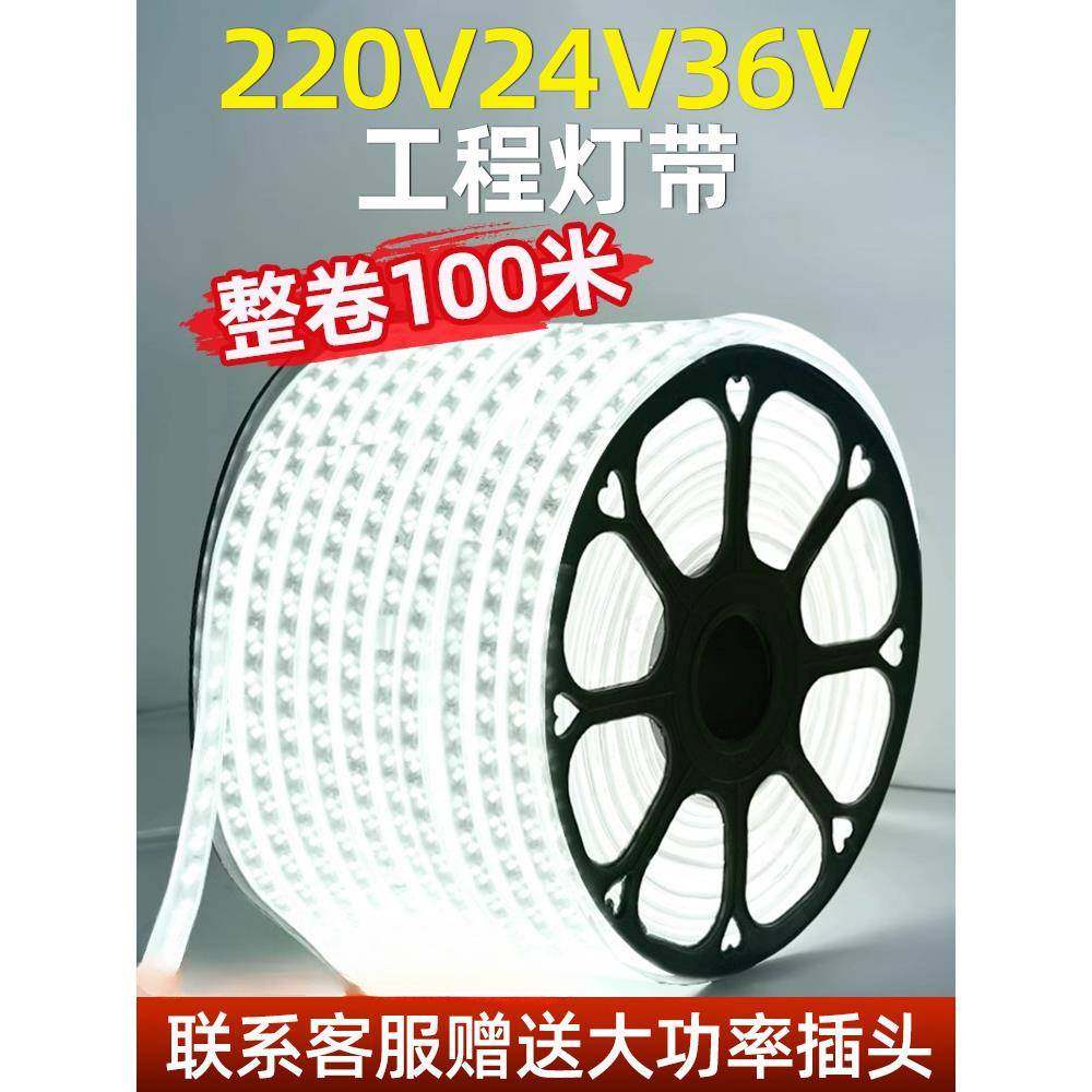 LED灯带220v户外防水地下室隧道工地亮化装饰照明白光灯条24V36V