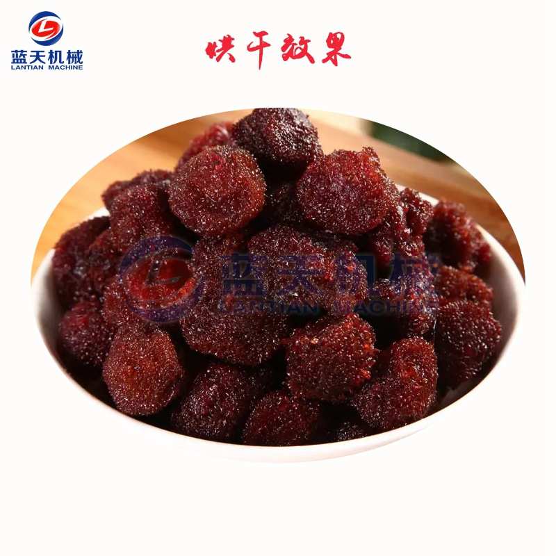 蓝天杨梅烘干机 智能控温杨梅干杨梅果烘干箱 小型树梅烘干机设备