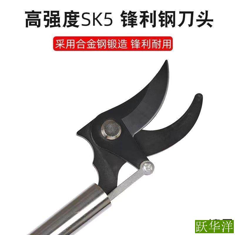 槐花剪高枝剪修枝剪不锈钢修剪园林疏花稀果剪枝槐米加长杆高空剪