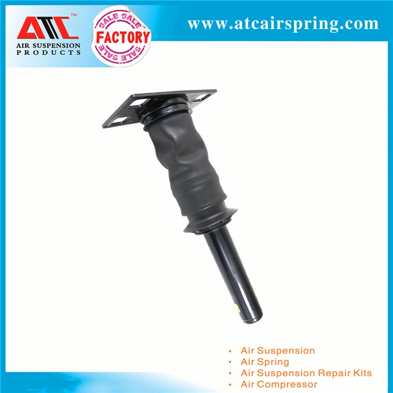 适用于International Prostar 减振器总成 3595977C95 3595977C96