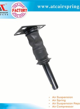 适用于International Prostar 减振器总成 3595977C95 3595977C96