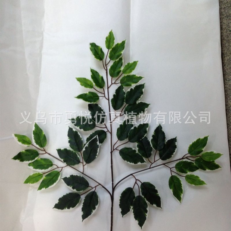 厂家直供 供应仿真三叉新榕叶布榕树叶过胶榕叶白边榕工程树材料