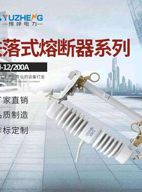 ABB型令克R-NCX-12/100A-12.5KANCX-10/100A跌落式熔断器