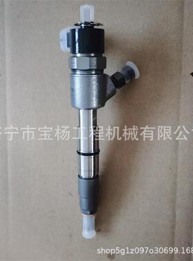 0445110786共轨喷油器0445110787 0445110791喷油嘴总成