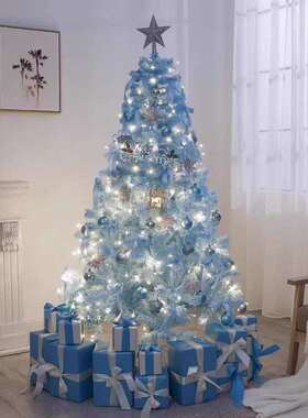 2025圣诞节新款蓝色植绒圣诞树家用套餐加密1.5/1.8米豪华发光树