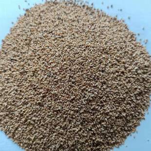 供应核桃壳粉核桃壳滤料核桃壳磨料石油助现货销售