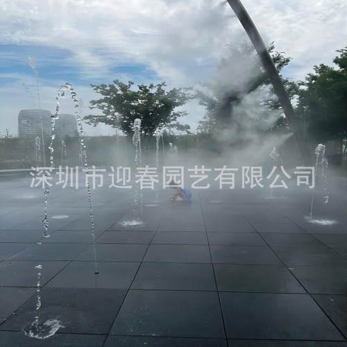 武汉市黄石市公园人造雾设备造雾系统冷雾喷嘴人工造雾喷头工