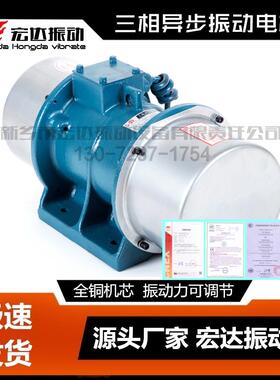 XV-40-6振动电3kw|XVMA-10-6宏达振动电机