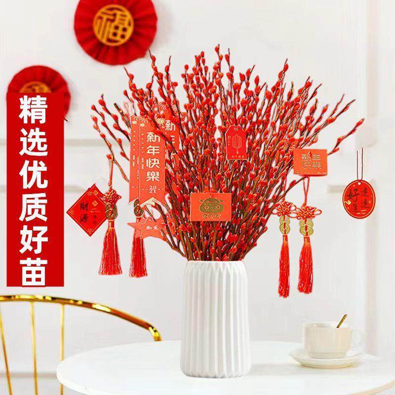 招才银柳真花鲜枝春节年宵花卉水培植物干花红色银柳客厅室内装饰