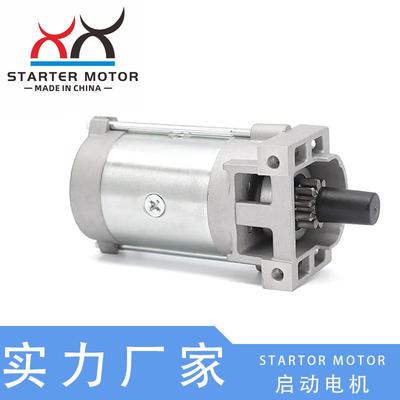 136-7880, 127-9209, 133-9828割草机起动电机起动马达适用Toro