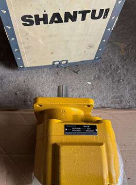 1455-62Y-01000L55-B5工作泵