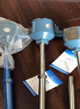 WZP2-24SA本安热电阻固定螺纹WZP2-140ExdIICT5防爆热电阻