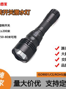 热销大功率水下照明灯10WT6L2潜水专用led铝合金手电筒