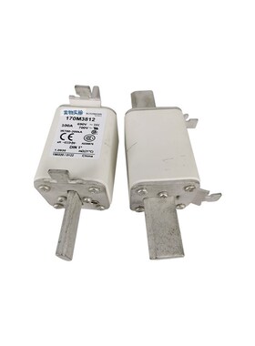 170M3812 170M3812D快速熔断器/保险丝100A 700V  原装现货
