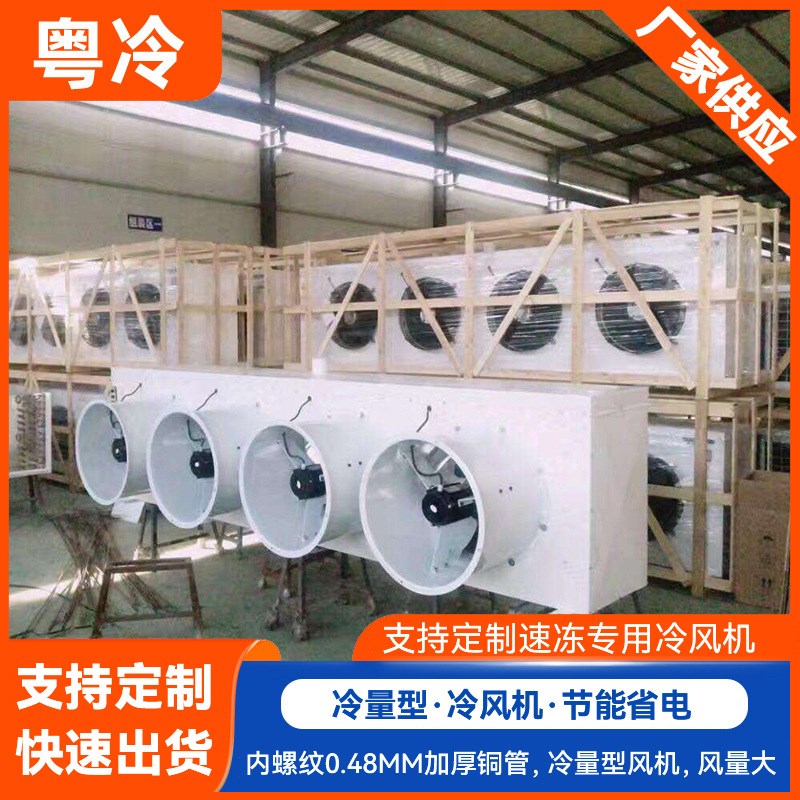 非标冷藏库冷冻库冷风机吊顶式冷库冻库冷风机商用小型冷风机