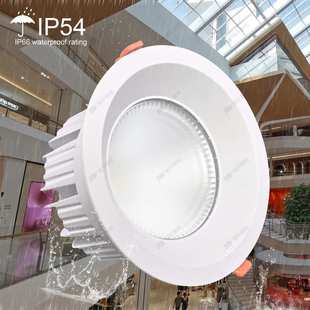 剧院观众席筒灯3000K/4000K ?40W 50WLED防雾天花灯 混光圆顶灯